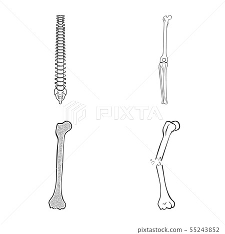 Vector design of medicine and clinic icon. Collection of medicine and medical stock symbol for web. Vector design of medicine and clinic icon. Collection of medicine and medical stock symbol for web. 55243852