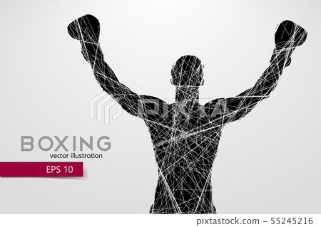 Boxing silhouette. Boxing. Vector illustration 55245216