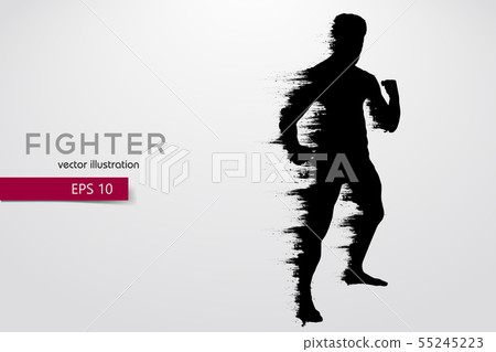 Boxing silhouette. Boxing. Vector illustration Boxing silhouette. Boxing. Vector illustration 55245223