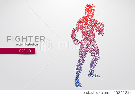 Boxing silhouette. Boxing. Vector illustration Boxing silhouette. Boxing. Vector illustration 55245233