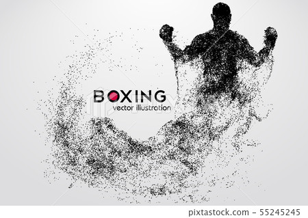 Boxing silhouette. Boxing. Vector illustration Boxing silhouette. Boxing. Vector illustration 55245245