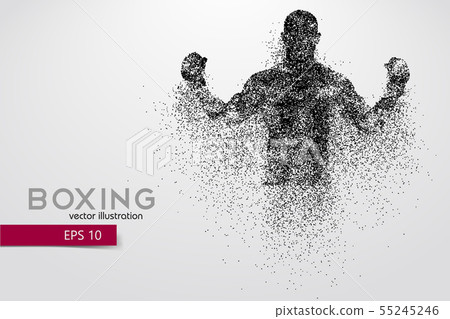Boxing silhouette. Boxing. Vector illustration 55245246