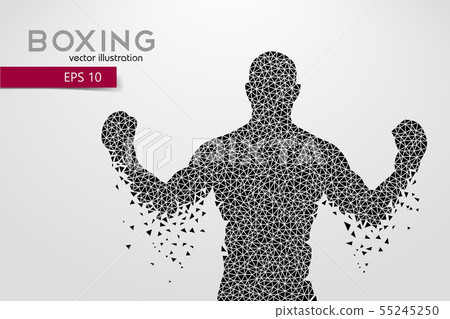 Boxing silhouette. Boxing. Vector illustration 55245250