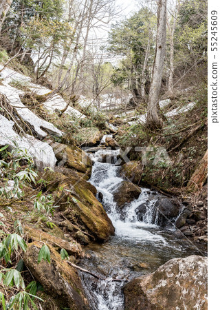 A thawed mountain stream 55245609