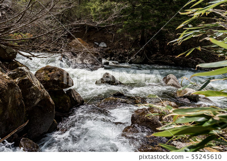 A stream of snow melting 55245610