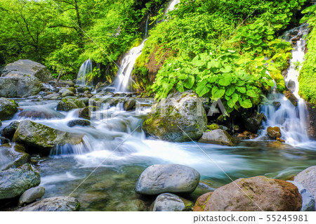 山間溪流和gnarling瀑布2 55245981