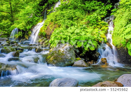 山間溪流和gnarling瀑布3 山間溪流和gnarling瀑布3 55245982