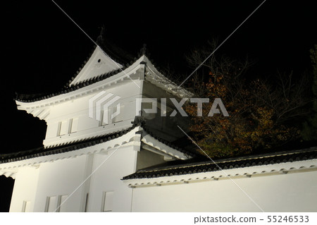 Nijo Castle autumn light up 55246533