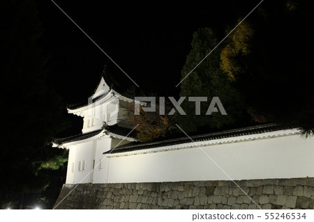 Nijo Castle autumn light up 55246534