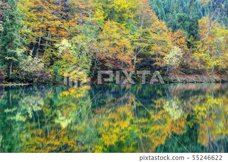 Fall Autumn Akiyamago Tenike 55246622