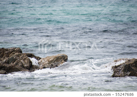 洛基海 55247686