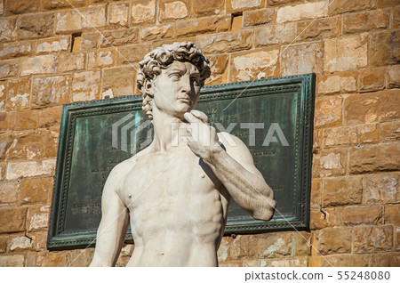 Statue of David in Florence Statue of David in Florence 55248080
