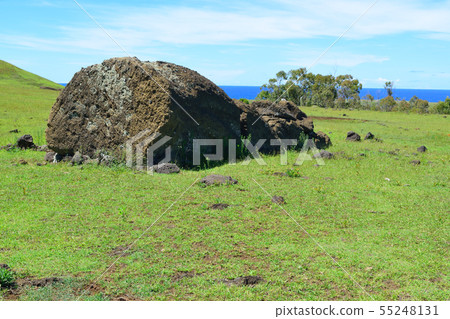Stunned Moai statue Stunned Moai statue 55248131