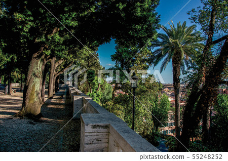 Cathedrals domes, monuments and roofs in Rome 55248252
