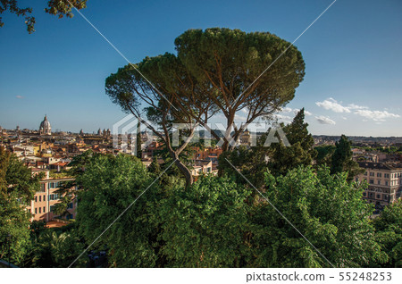 Cathedrals domes, monuments and roofs in Rome 55248253