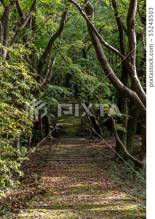 Saori寺廟秋葉 Saori寺廟秋葉 55248503