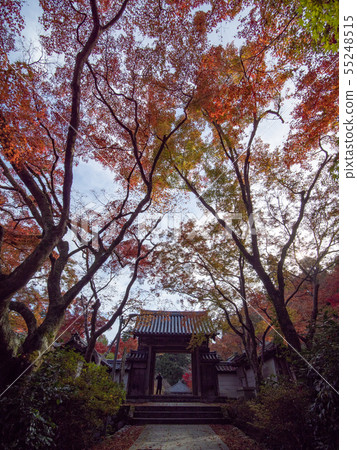 Saori寺廟秋葉 55248515