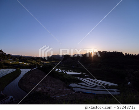 Rice Terrace in Shimosuka Rice Terrace in Shimosuka 55248712