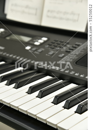 Electronic keyboard Electronic keyboard 55250012
