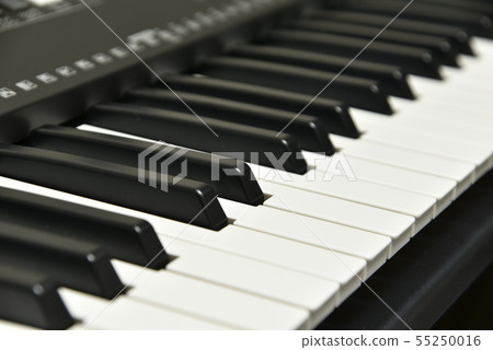 Electronic keyboard 55250016