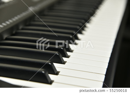 Electronic keyboard Electronic keyboard 55250018
