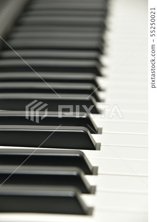 Electronic keyboard Electronic keyboard 55250021