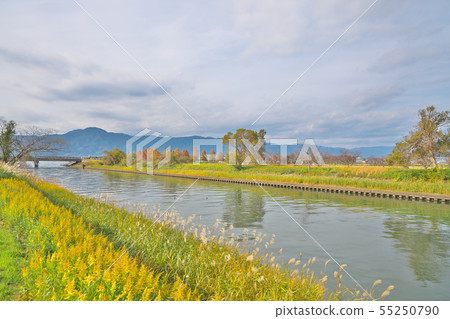 琵琶湖的秋天 55250790