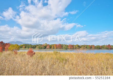 Fall of Lake Biwa 55251164