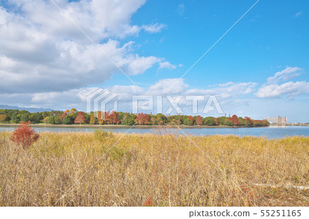 Fall of Lake Biwa 55251165