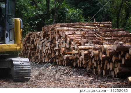 Thinning wood and heavy machinery Thinning wood and heavy machinery 55252085