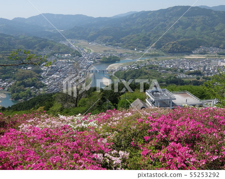 Azalea and wisteria trellises in Fujiyama, Ohori Azalea and wisteria trellises in Fujiyama, Ohori 55253292