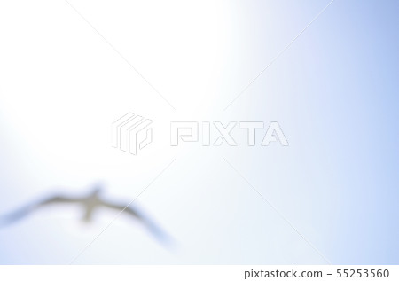 鳥飛的圖像 55253560
