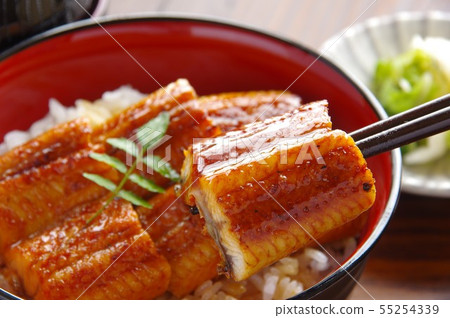 Eel bowl eel bowl 55254339