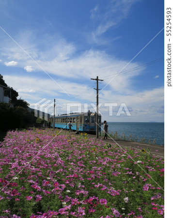 The nearest station to the sea, Shimosu Station and Cosmos The nearest station to the sea, Shimosu Station and Cosmos 55254593