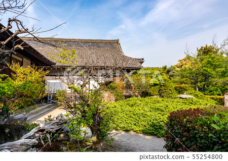 Old Ryume of Ryoryu in front of Shoin Kyoto Old Ryume of Ryoryu in front of Shoin Kyoto 55254800