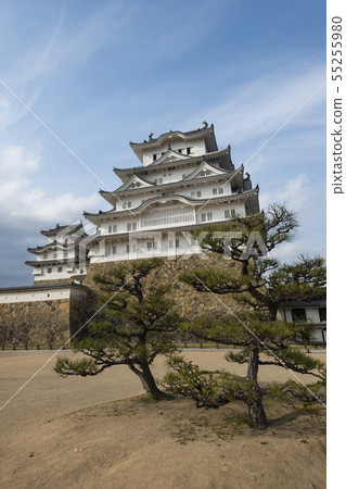 Himeji Castle Towers with Bonzai Trees, Japan Himeji Castle Towers with Bonzai Trees, Japan 55255980