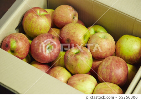 Apple in a cardboard 55256306
