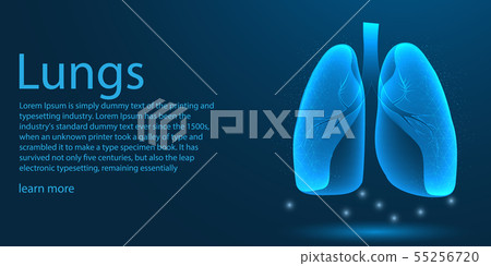 Human Lungs medical organ. low poly wireframe 55256720