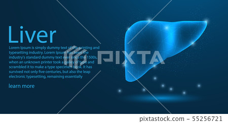 Human liver medical organ. low poly wireframe - Stock Illustration ...