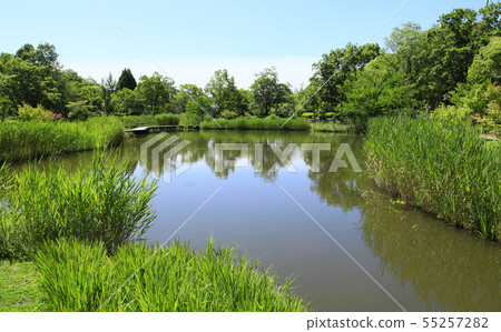 Pond artificial pond urban park pond waterside garden pond park pond 55257282