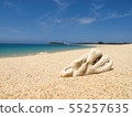 Beach 55257635