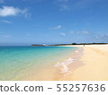 Beach and sea 55257636