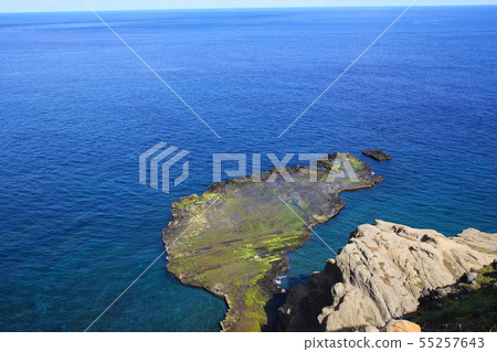 Little Taiwan Little Taiwan 55257643