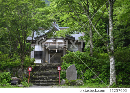Hakone Sengokuhara [Kanagawa] Public Shrine [Summer] 55257693