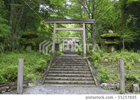 Hakone Sengokuhara [Kanagawa] Public Shrine [Summer] 55257695
