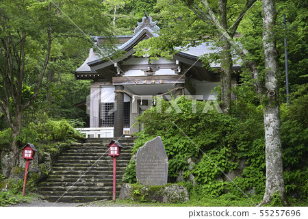 箱根仙石原[神奈川縣]公共神社[夏季] 55257696