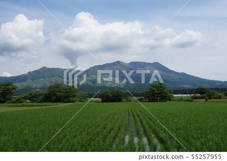 Aso Godake High / Medium / Mt. 55257955