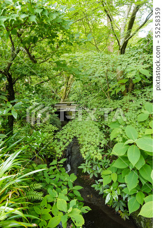 We look at Ishibashi from the side entrance of Kita Kamakura Akirazukiin main entrance 55258359