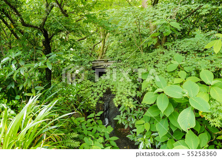 We look at Ishibashi from the side entrance of Kita Kamakura Akirazukiin main entrance We look at Ishibashi from the side entrance of Kita Kamakura Akirazukiin main entrance 55258360