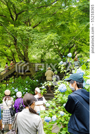 Kita Kamakura Mingetsu-in Katsurabashi附近 Kita Kamakura Mingetsu-in Katsurabashi附近 55258365